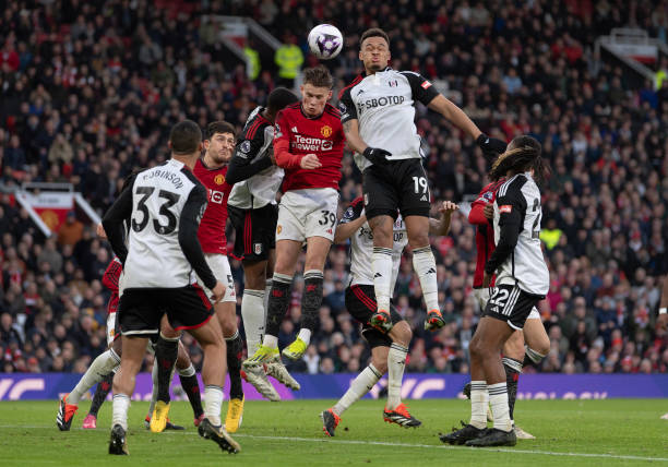 养并提拔年 养并提拔年